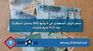 سعر الريال السعودي في 6 يونيو 2025 يسجل استقرارًا عند 13.21 جنيه للشراء